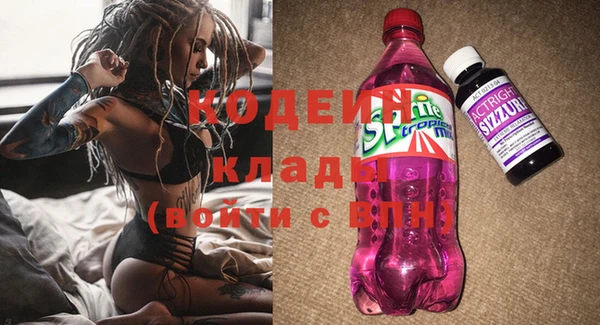 дурь Алексин