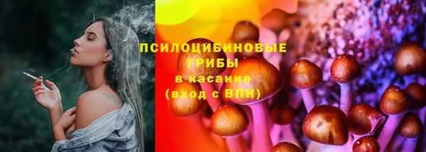 дурь Алексин