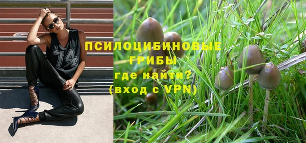 ГАЛЛЮЦИНОГЕННЫЕ ГРИБЫ Абдулино