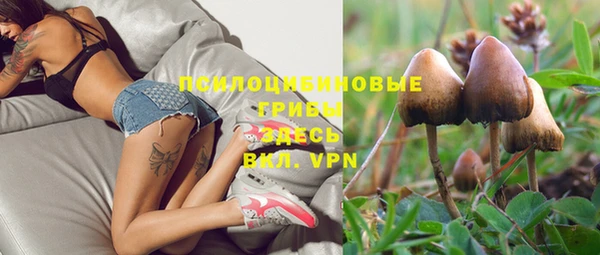 гашик Абинск
