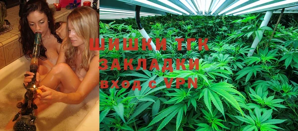 ГАЛЛЮЦИНОГЕННЫЕ ГРИБЫ Абдулино